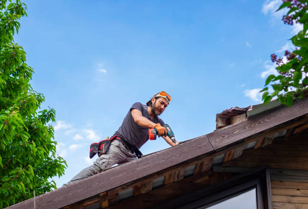 Best Chimney Flashing Repair  in Greenfield, MO