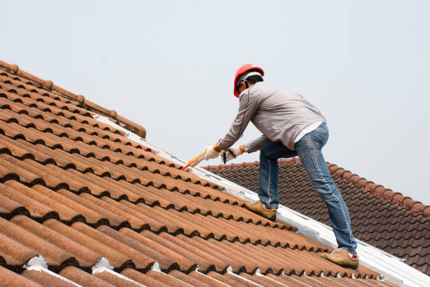 Best Gutter Installation and Repair  in Greenfield, MO